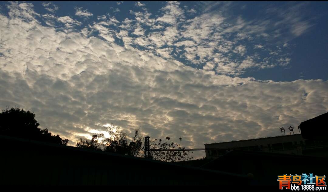 1421025686074.jpg