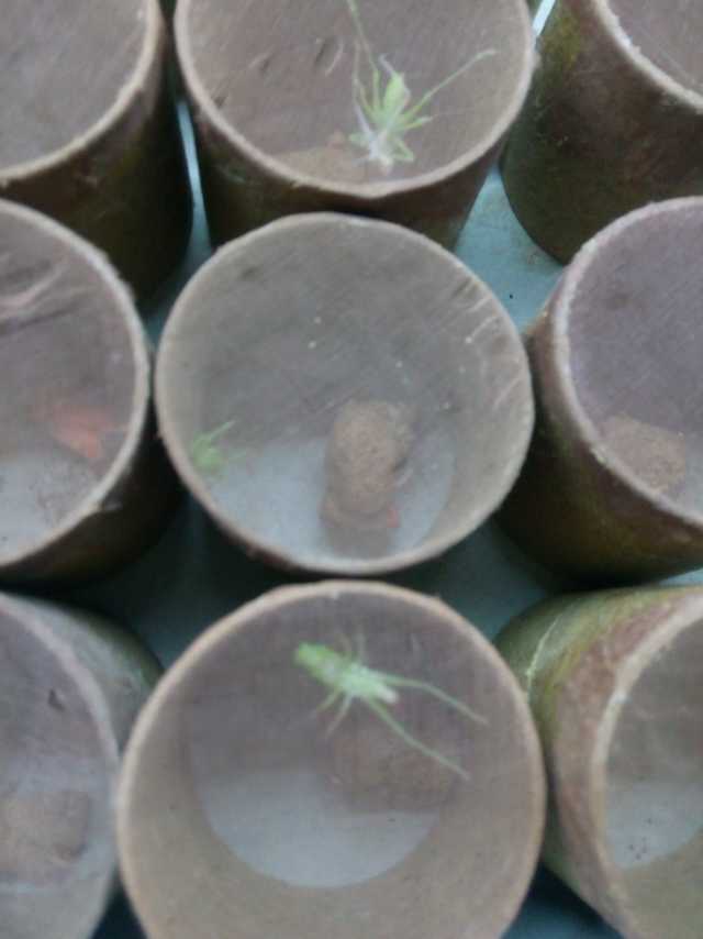 mmexport1420653325093.jpg