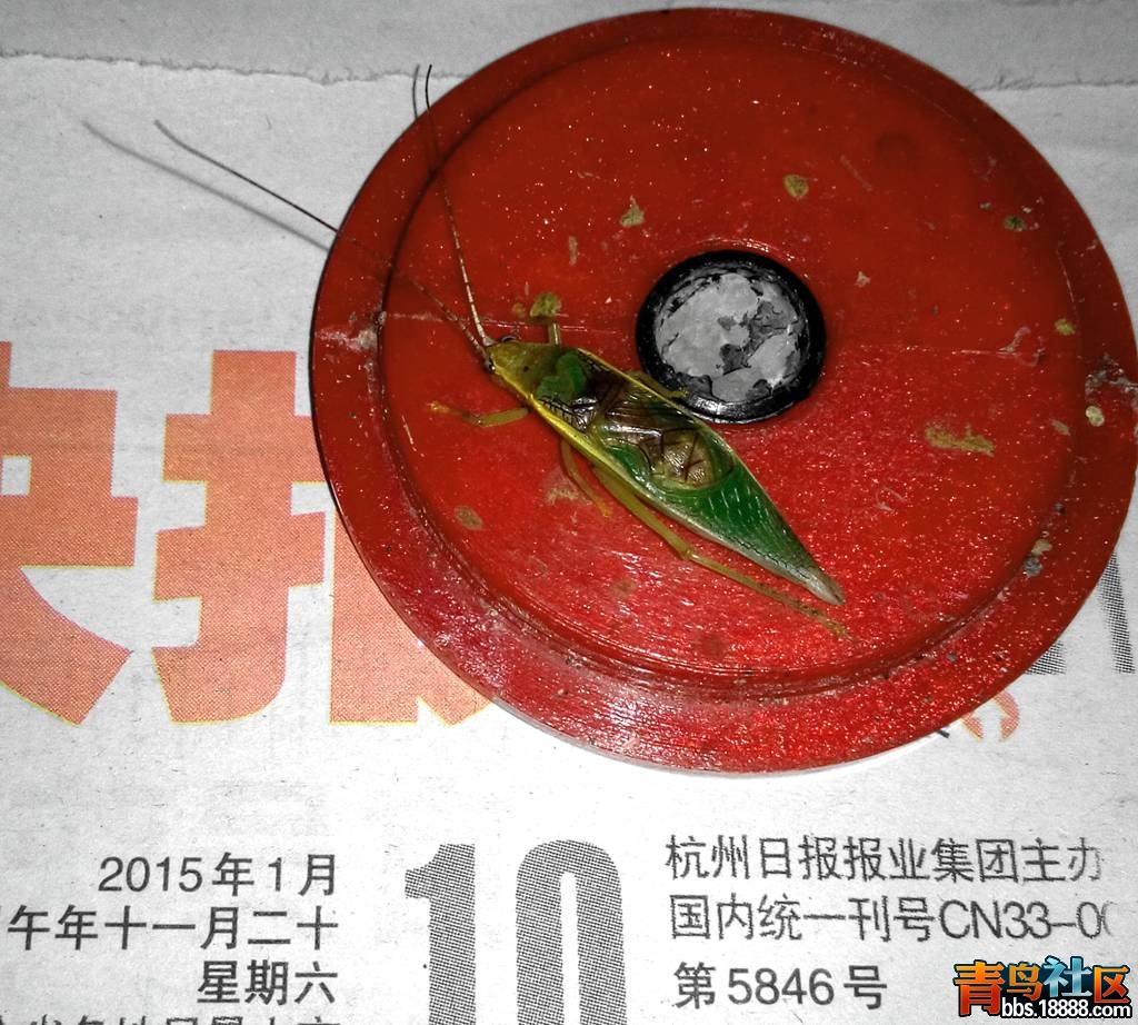 IMG_20150110_200434_副本.jpg