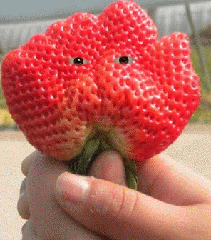 QQ图片20140423060458.gif