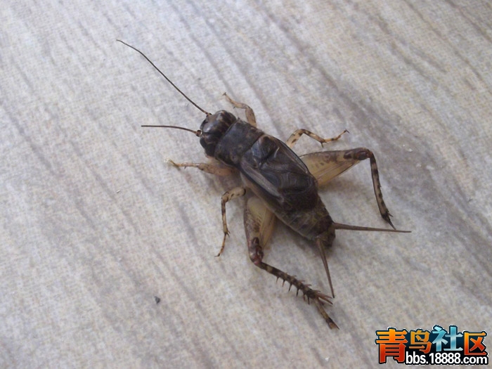 DSCF1791.JPG