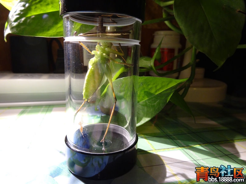 nEO_IMG_DSC01632.jpg