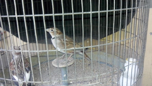 IMG_20150106_081335.jpg