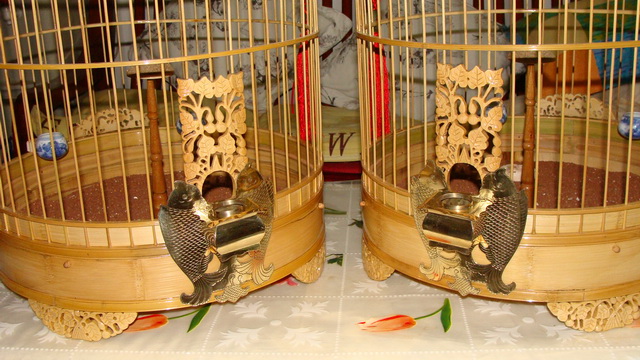 DSC03024.jpg