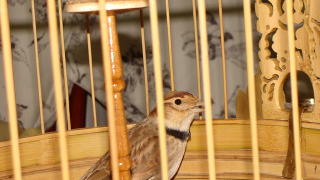 DSC03037.jpg