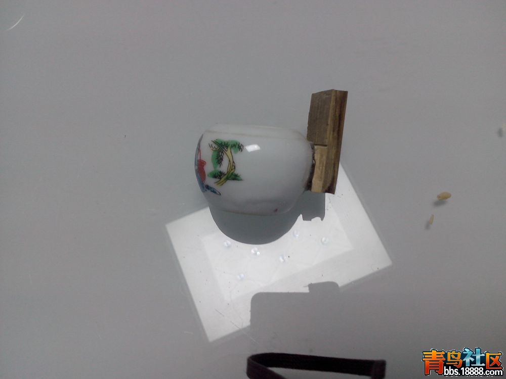 IMG20150123001.jpg