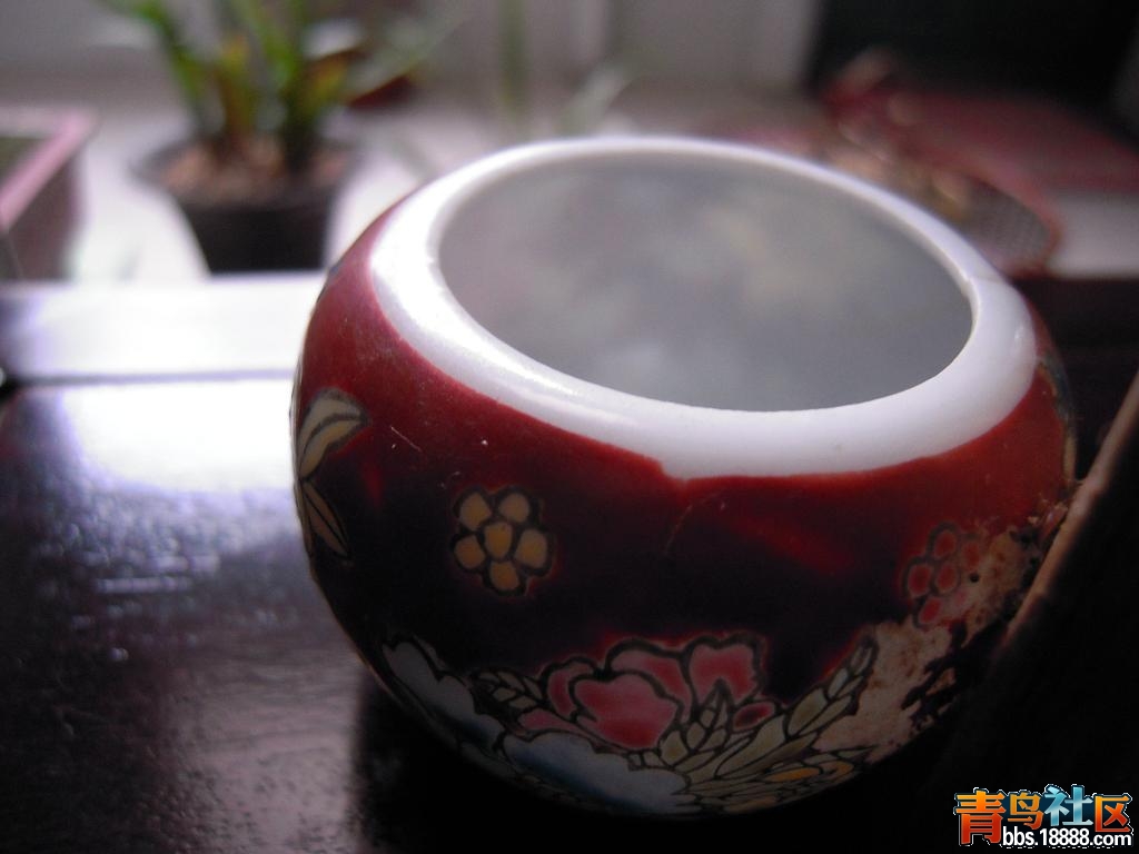 DSCN0673.JPG