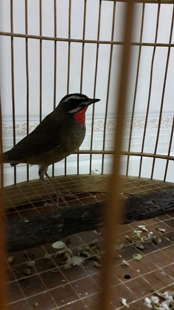 20150105_194422.jpg