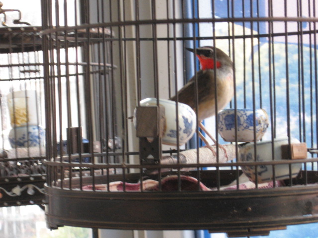 2014-11-29 012.jpg