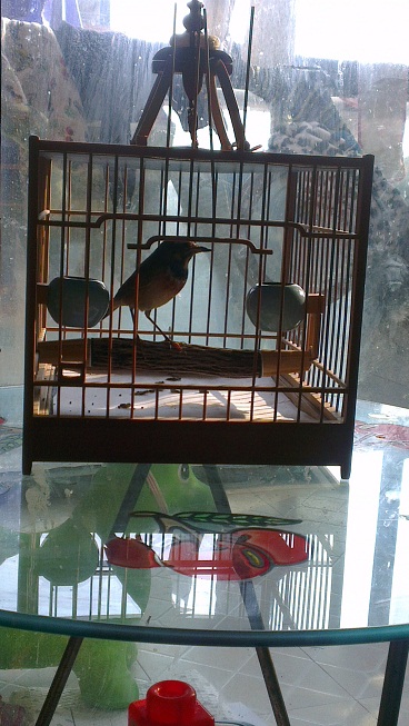 IMAG2793.jpg