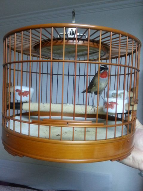 20150117_211036.jpg