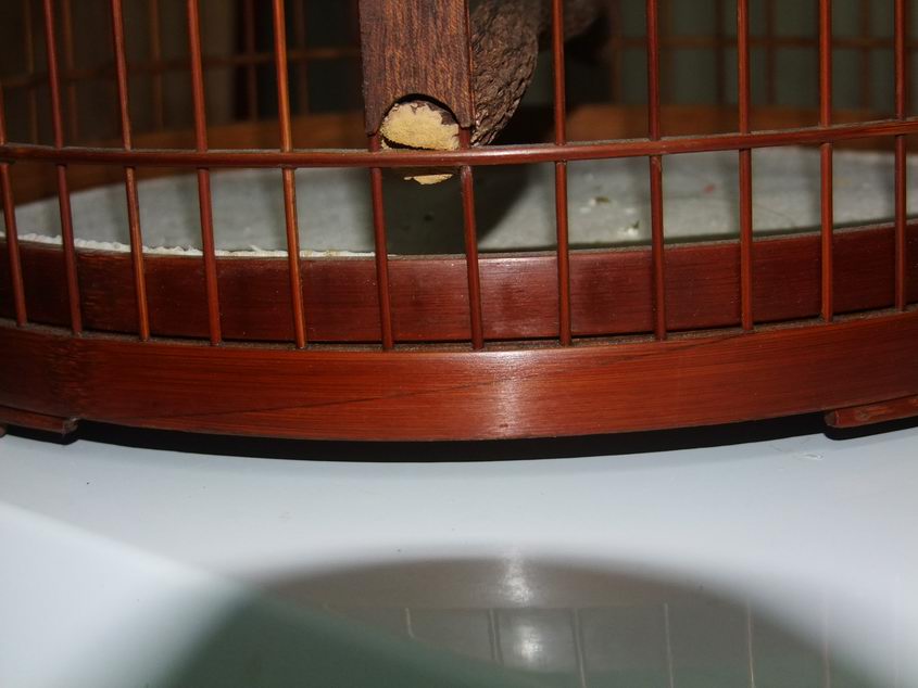 照片 004.jpg