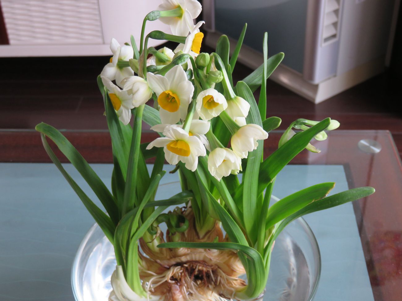 IMG_1070_副本.jpg