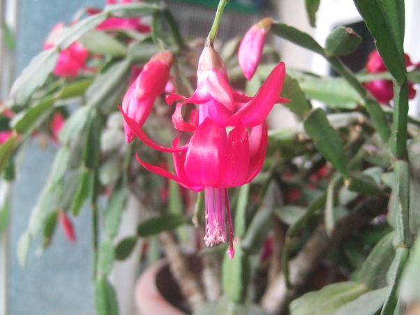 DSCF4860_调整大小.JPG