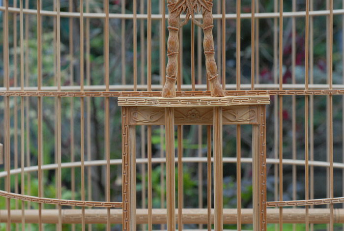 DSC_0043.JPG