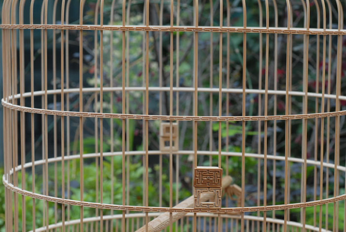 DSC_0047.JPG