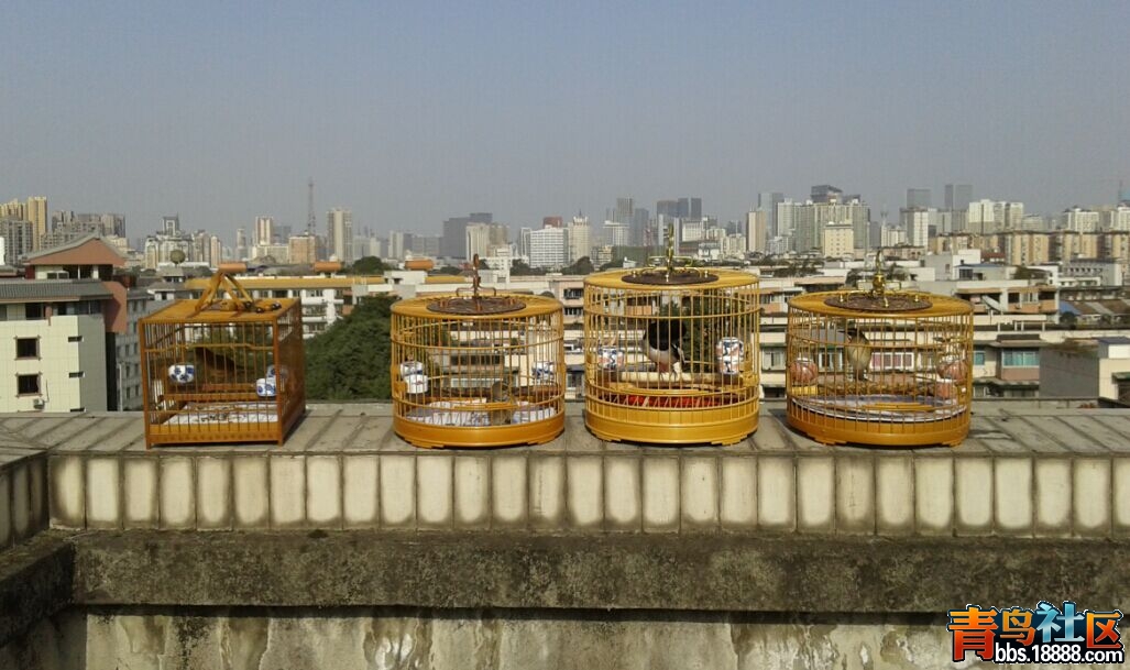 QQ图片20150216163721.jpg