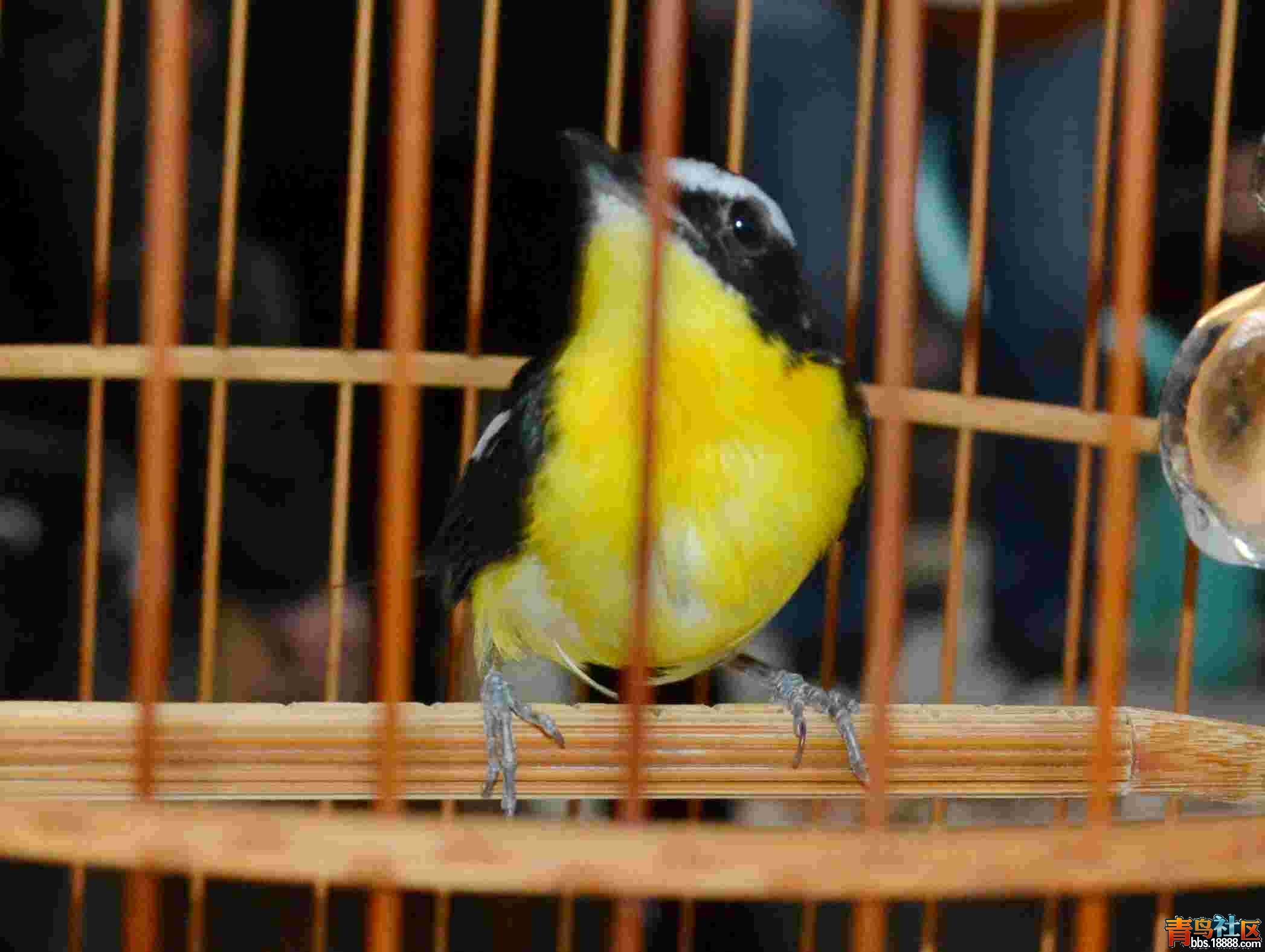 DSC_2104.JPG
