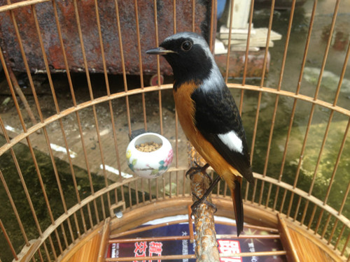 psb (2)_副本.jpg