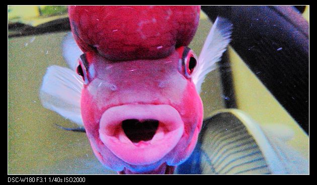 nEO_IMG_DSC05425.jpg