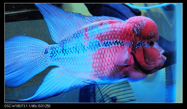 nEO_IMG_DSC05444.jpg