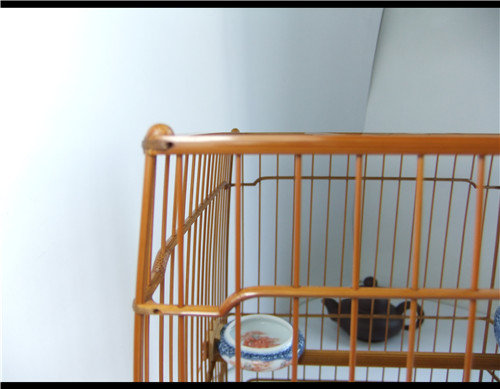 DSCF8737.JPG