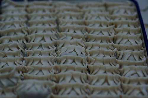 DSC05675_副本37.jpg