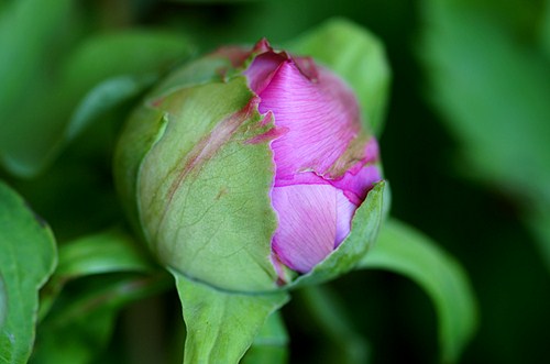 DSC05517_副本28.jpg