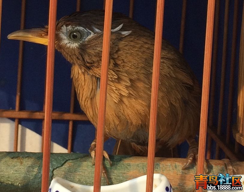 视屏 142_副本.jpg