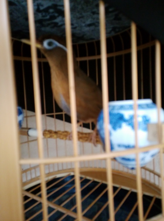 IMG_20150221_160011_调整大小.jpg