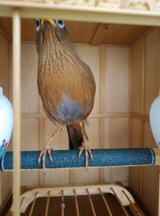 IMG_20150227_144403_调整大小.jpg