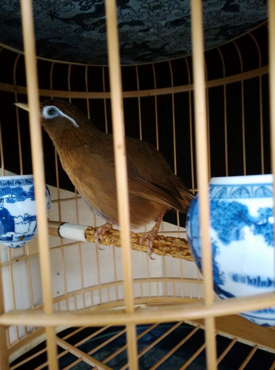 IMG_20150221_160238_调整大小.jpg