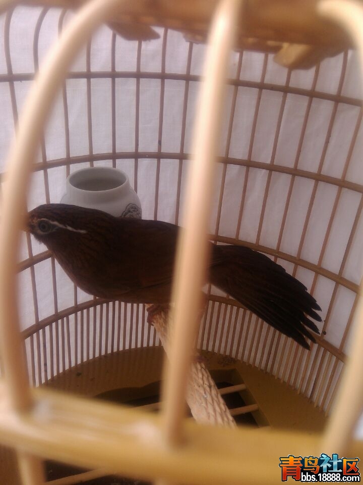 QQ图片20150223130731.jpg