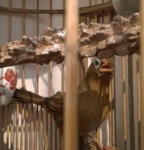 QQ图片20150210142708.jpg