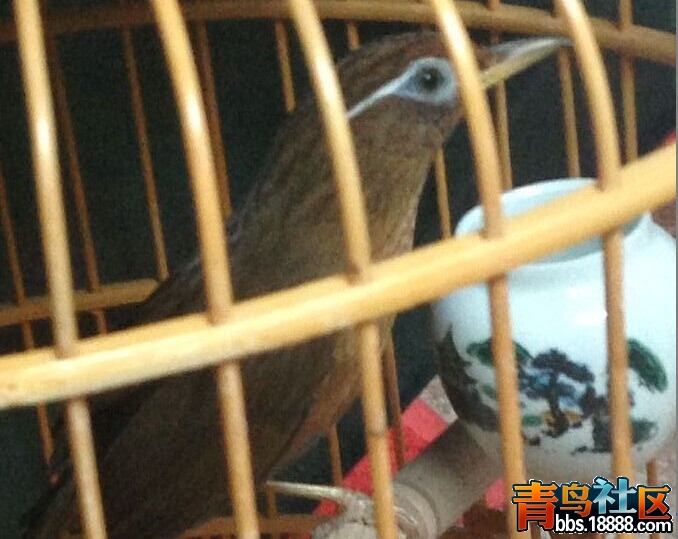 QQ图片20150209124529.jpg