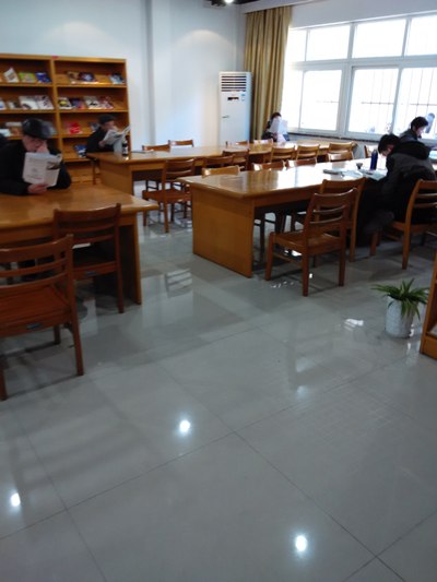 IMG_20150210_144553.jpg