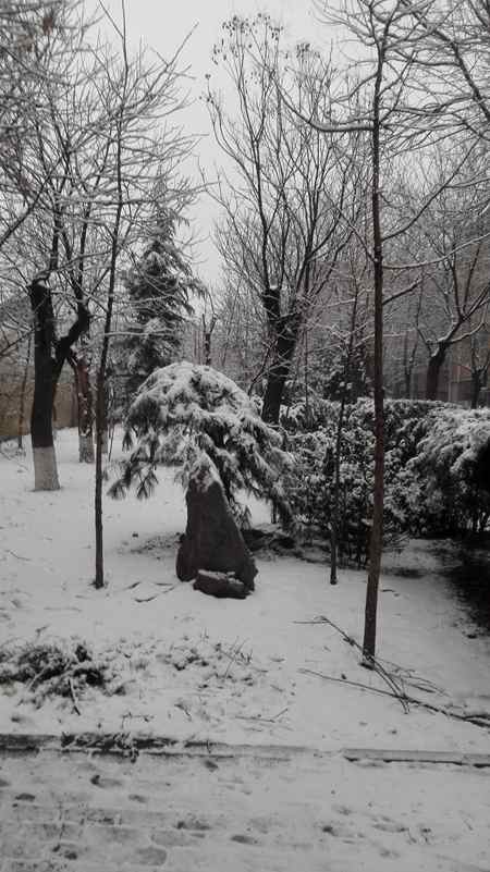 IMG_20150220_075616.jpg
