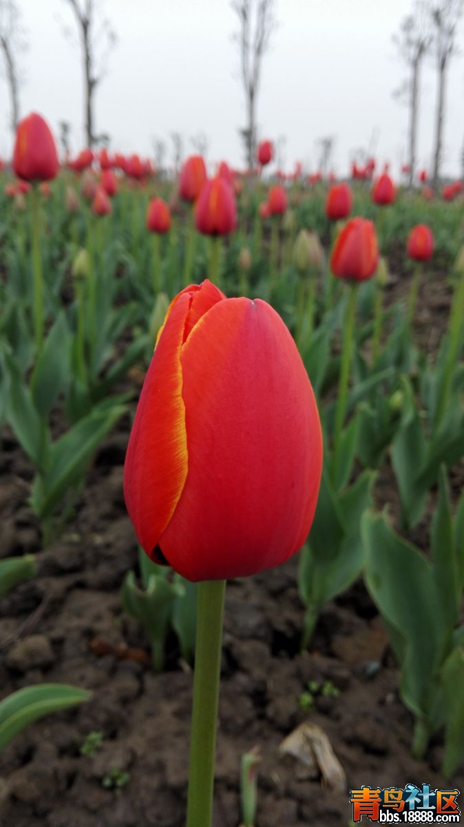 IMG_20150222_141132.jpg