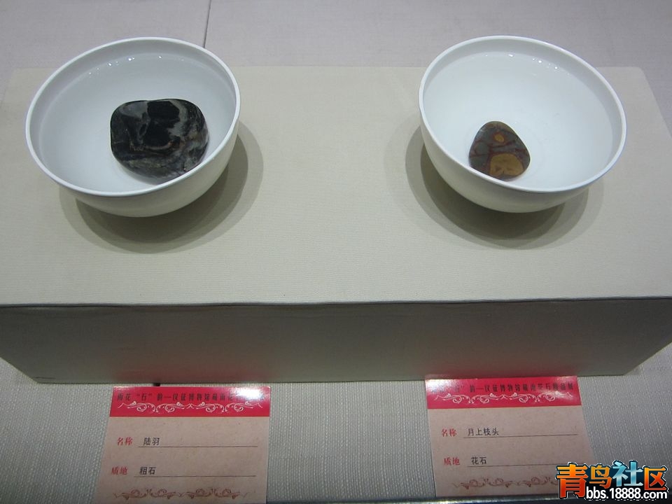 59.jpg