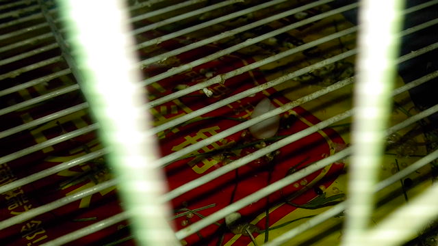 IMG_20150215_130813.jpg