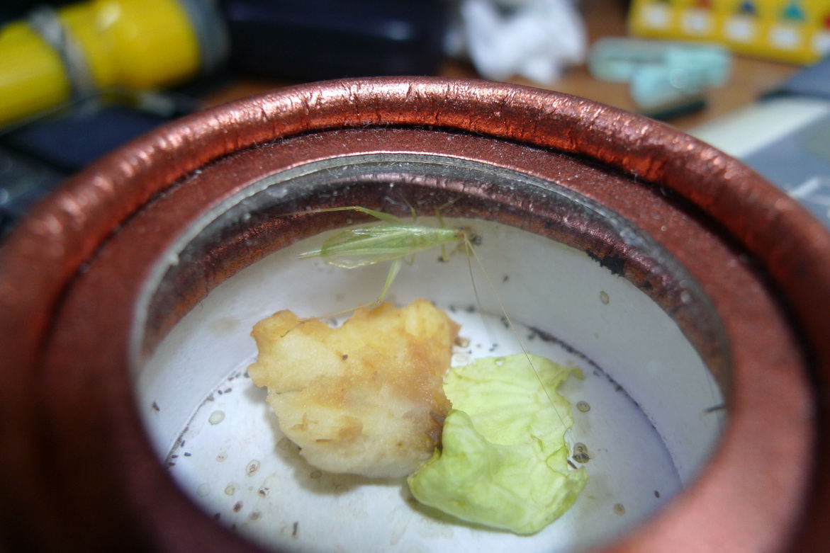 P1050938_调整大小.JPG