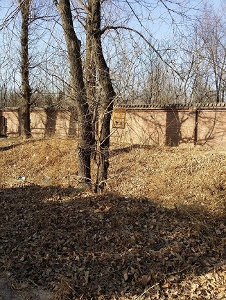 20150211_144653.jpg