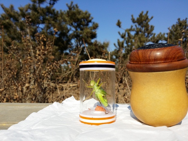 20150211_123413.jpg