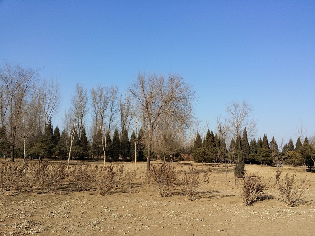 20150211_150143.jpg