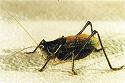 8_110902154739_7.jpg