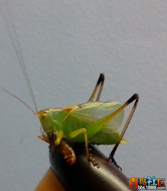 QQ图片20150202214722.jpg
