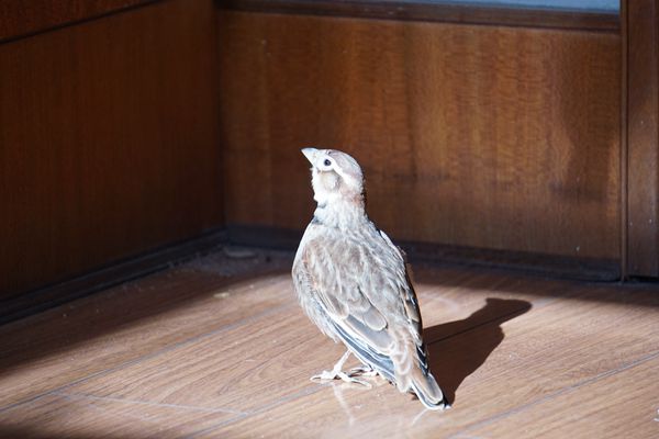 DSC00153_副本.jpg