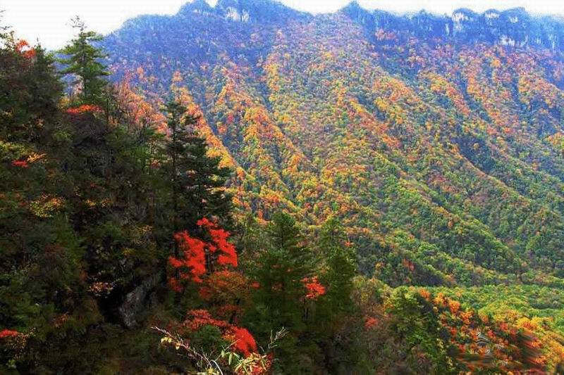 山景.jpg