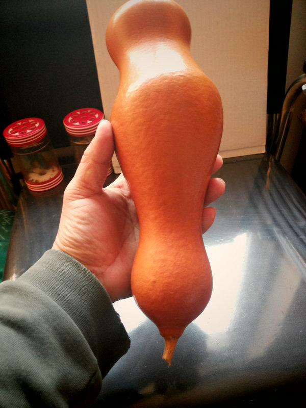 20150209_164539.jpg
