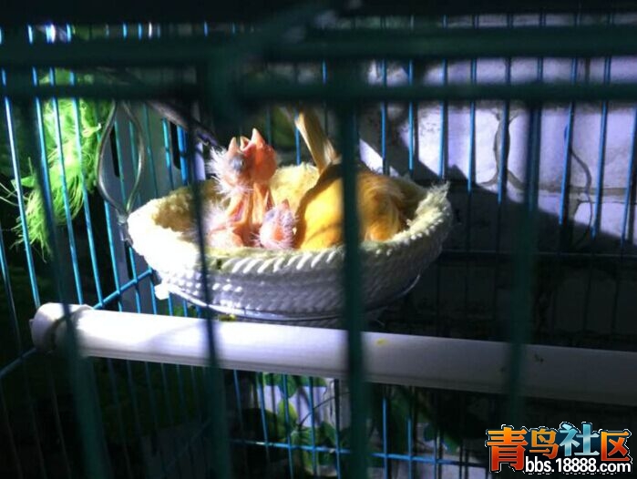 QQ图片20150313222812.jpg